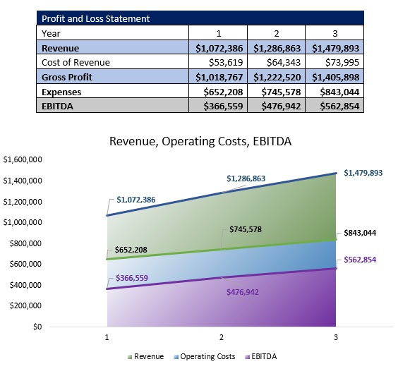 Medical Spa Profit and Loss